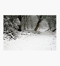 Narnia Photographic Print