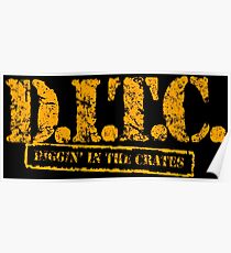 Póster DITC