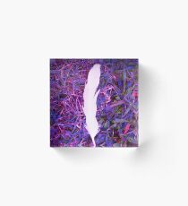 Feather Acrylic Block