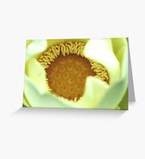 Nelumbo nucifera Greeting Card