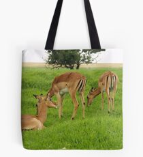 Impalas Tote Bag