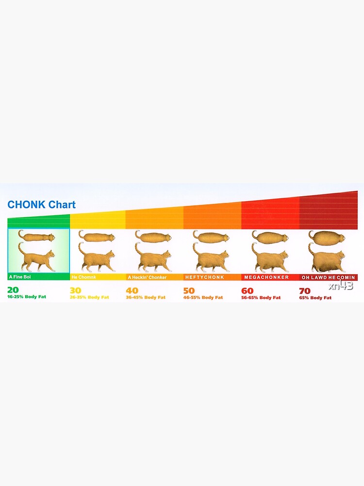 Cat Size Chart Chonk.