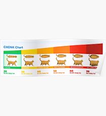 Cat Chonk Chart Poster