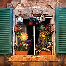 Tuscan window - Siena by newbeltane