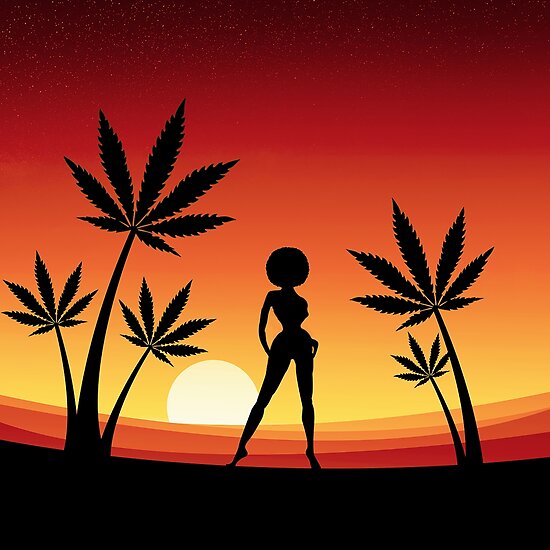 "Sunset Vibes" Poster by kushlove22 | Redbubble