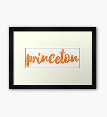 Princeton brush script Framed Print