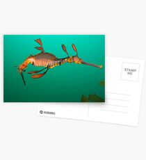 Bicheno Dragon Postcards
