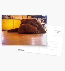 Flump Postcards