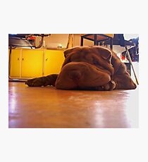 Flump Photographic Print