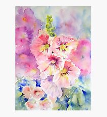 Cottage Garden Summer Photographic Print