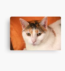 Zippy Canvas Print