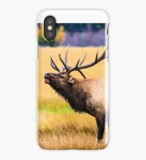 Bull Elk iPhone Case