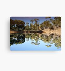 Mirror Mirror on the land Canvas Print