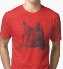 Cats lovers Tri-blend T-Shirt