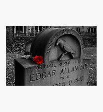 Poe's Red Rose Photographic Print