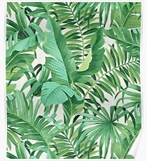 Green tropical leaves II Poster