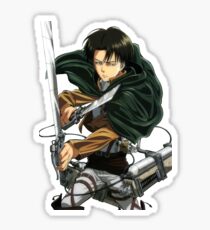 Levi Sticker