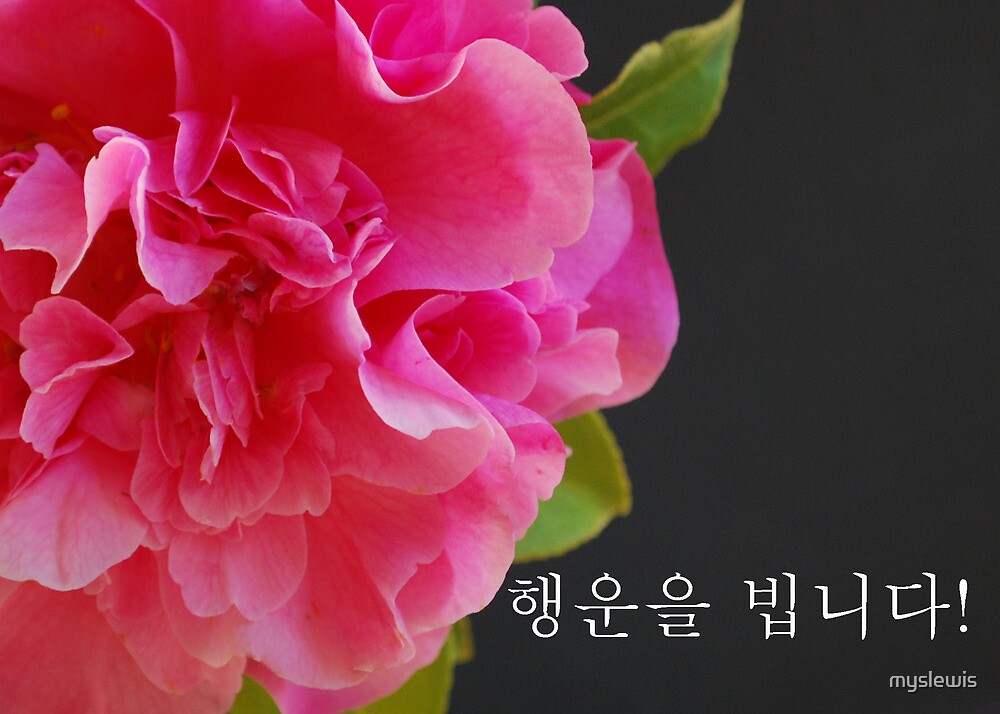 "Korean Happy Birthday Camellia" by myslewis Redbubble