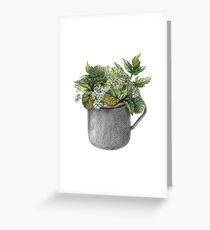 Mug with green forest growth Greeting Card
