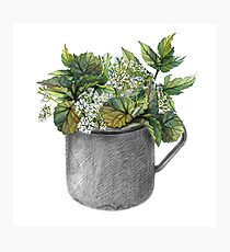 Mug with green forest growth Photographic Print