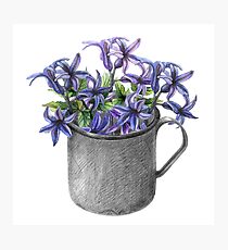 Hyacinth flowers in a mug Photographic Print