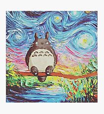Totoro 3 Photographic Print