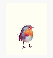 Winter Robin Fotodruck