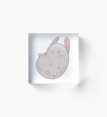 Hase Acrylblock