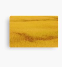 Seagrass Canvas Print