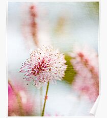 Nature Paints Poster