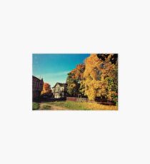 Autumn is Golden Art Board