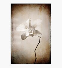 Invincible Photographic Print