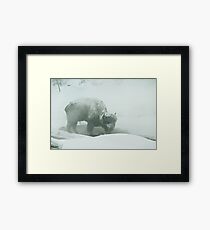 Survival Framed Print
