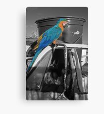 Perched Macaw Canvas Print