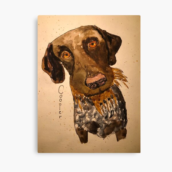 Cooper Canvas Print