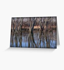 Spring Light Greeting Card