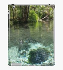 Seven Sisters Florida freshwater springs iPad Case/Skin