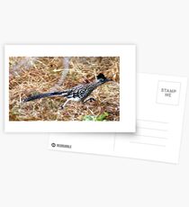 Beep, beep... Postcards