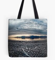Feather on the Shore: Salton sea Tote Bag