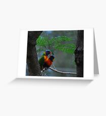 Rainbow Lorikeets Greeting Card