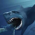#underwater #shark #swimming #teeth #fish #water #sea #whale #sideview #one #dolphin #fear #aquarium #animal #horizontal #blue #colorimage #blowing #aquaticorganism #animalwildlife #sealife by znamenski