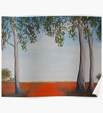Australian outback Poster