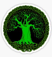 Celtic Tree (Green version) Sticker