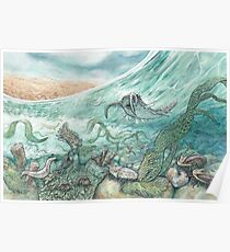 The Cambrian Poster