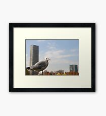 Clear sky Framed Print