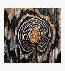 Wood knot Photographic Print