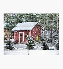 Little Red Garden Shed Photographic Print
