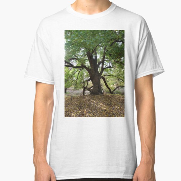 Majestic English Elm Classic T-Shirt