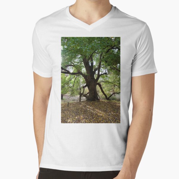 Majestic English Elm V-Neck T-Shirt