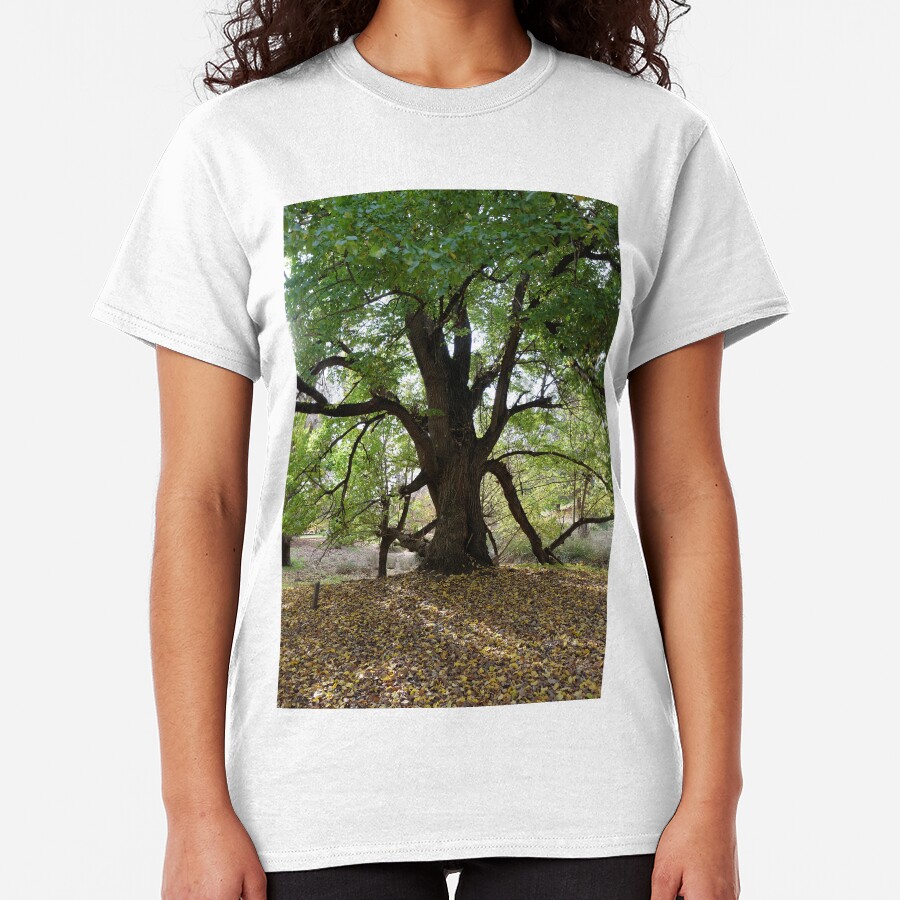 Majestic English Elm Classic T-Shirt